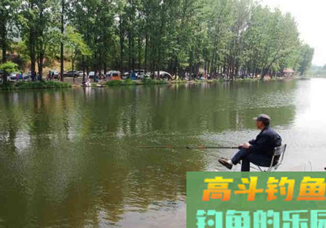 钓鲤鱼用什么饵料最好？能不能给几套配方
