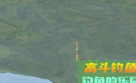 鲫鱼漂相形成的原因，以及提竿空竿的原因