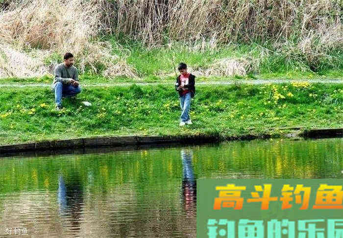 鲫鱼钓底还是钓浮？是需要根据现场环境来定的
