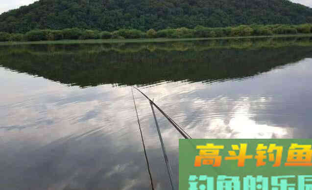 野钓时水太肥，怎么钓鲫鱼？一起来学学