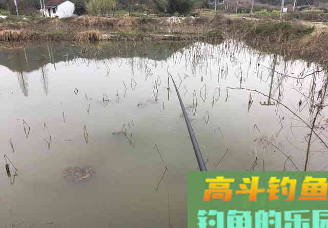 冬钓鲫,朝南坐还是朝北坐? 冬钓鲫,朝南坐还是朝北坐?