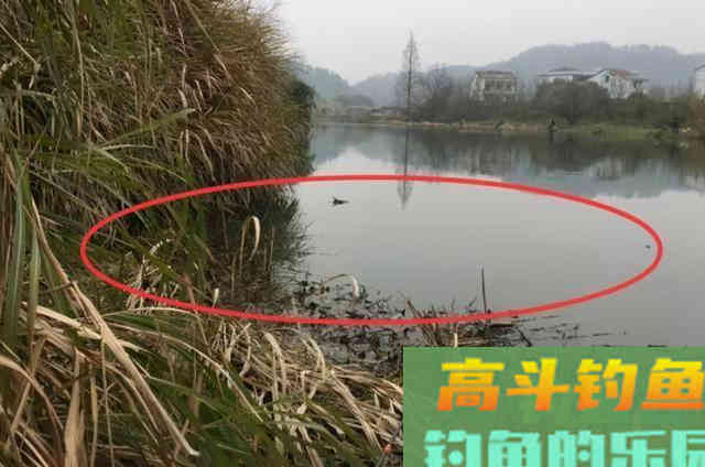 冬天一到，大板鲫就难钓？找到这3个藏鱼宝地