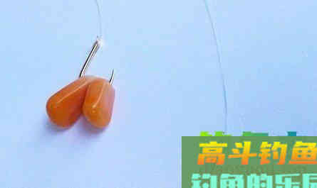 唯一一种鱼没牙齿贵的鱼，青鱼的无奈，四大家鱼中最难的一位