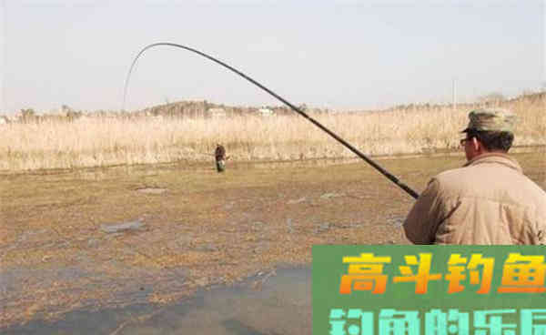 秋末钓鲫鱼，用饵料还是蚯蚓？鱼饵不重要重要的是水情