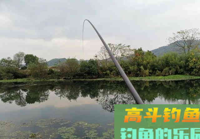 天冷钓鱼要多逗,鲫鱼经不起这诱惑 天冷钓鱼要多逗,鲫鱼经不起这诱惑