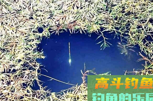 爱信不信!降温后,鲫鱼都藏在这5个地方 爱信不信!降温后,鲫鱼都藏在这5个地方