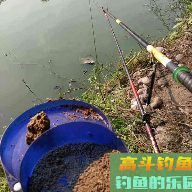 初夏，池塘野钓鲤鱼的技巧