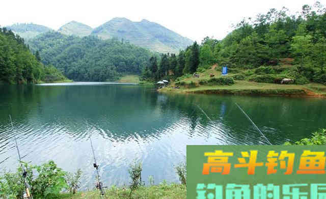 秋季野钓草鱼,用串钩钓浮别钓底 秋季野钓草鱼,用串钩钓浮别钓底