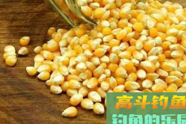 钓了十二年鳊鱼才知，这样一套钓法才是连竿上鱼的关键