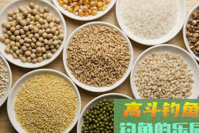 钓青鱼如何提升上鱼率,诱鱼、留鱼是关键,如何做 钓青鱼如何提升上鱼率,诱鱼、留鱼是关键,如何做