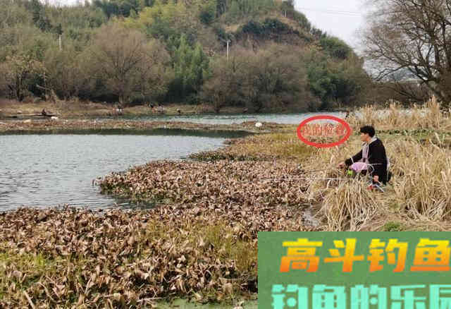 钓到大鲫鱼并非偶然，多天实战，解释野钓的正确思路