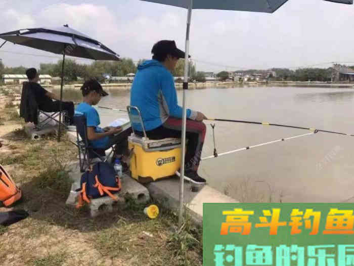 秋冬季钓大鲫鱼的技巧，钓法运用与饵料搭配