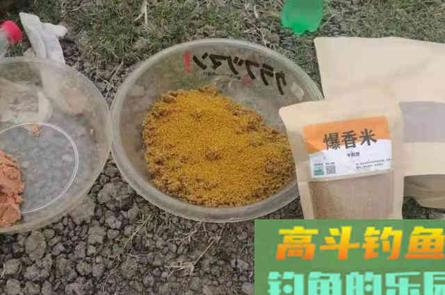 谁曾想大板鲫也没能抵住诱惑 谁曾想大板鲫也没能抵住诱惑
