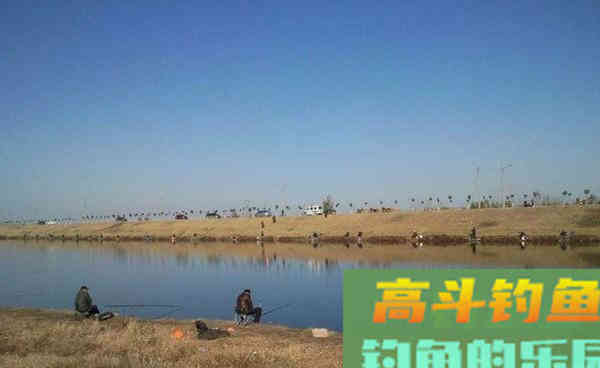 晚秋初冬钓鲫鱼两大核心技巧