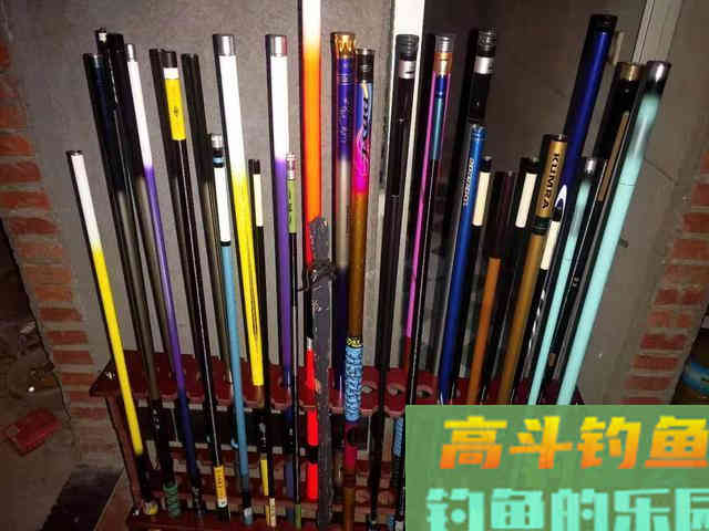 黑坑钓青鱼获得好收获，装备很重要有四点值得注意