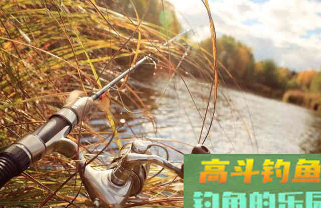 冬季钓鲫鱼，如何找到鱼儿的藏身处？