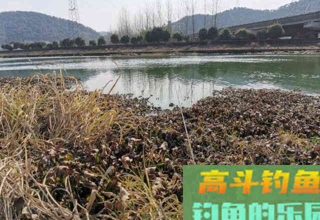 钓鲫鱼只能用短竿？野钓需灵活，打破常规方能收获惊喜