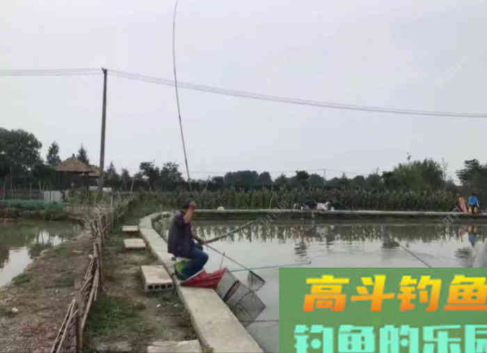 秋冬季钓大鲫鱼的技巧，钓法运用与饵料搭配