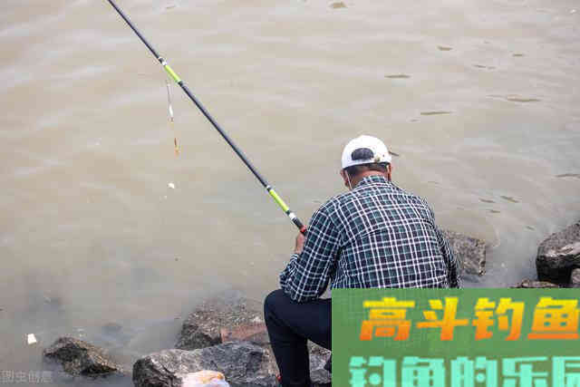 钓鲢鳙为什么老是锚鱼？我来告诉你真相