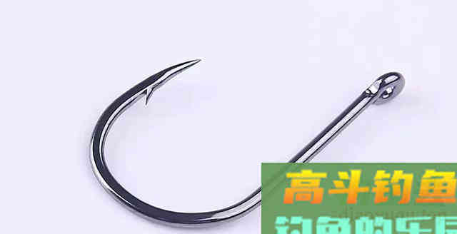草鱼为何难钓?分析原因从它的生活习性入手 草鱼为何难钓?分析原因从它的生活习性入手