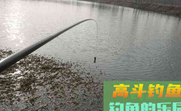 冬季手竿草边钓大鲫鱼,注意这4个要点 冬季手竿草边钓大鲫鱼,注意这4个要点