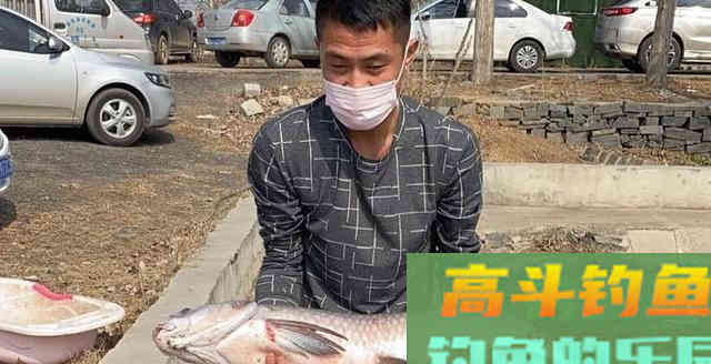 何为逗钓？深度解析逗钓的种类及各自使用方法及特点