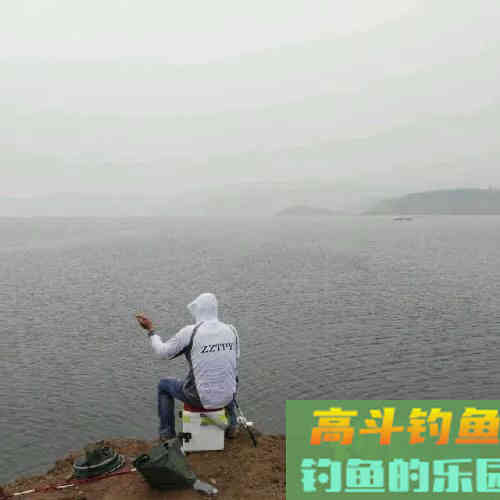 天气越冷钓鱼越要找这种地方，鲫鱼最喜欢躲在其中