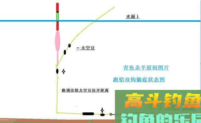 黑坑青鱼吃口为什么很轻,滑口鱼为何难钓 黑坑青鱼吃口为什么很轻,滑口鱼为何难钓