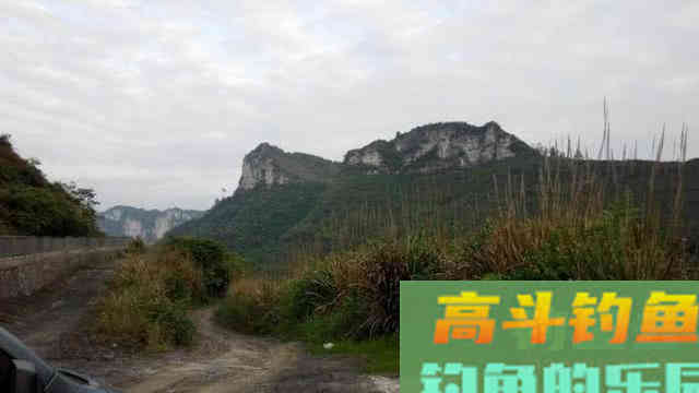 大西南的深山溪流里钓山鲶，这种极品鱼吃起来弹嘴