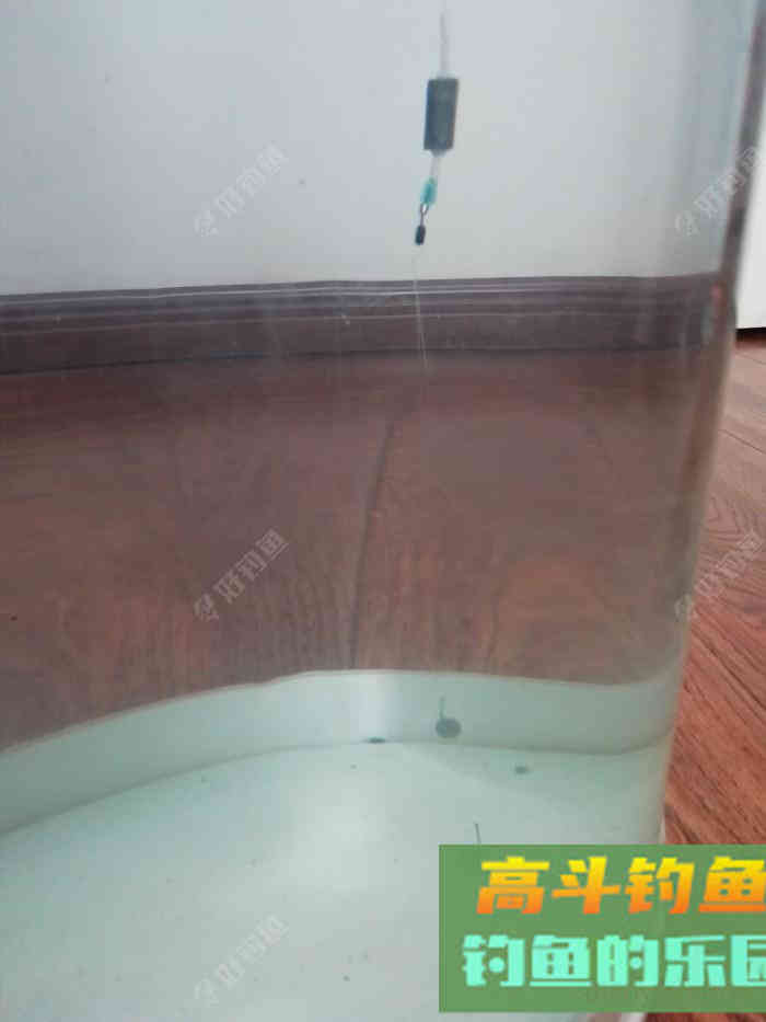 野钓策,野钓鲫鱼调与钓的几点感触 野钓策,野钓鲫鱼调与钓的几点感触