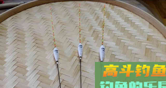 秋钓大鲫鱼，这三招偷偷告诉你，渔获轻松翻倍