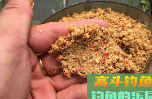 裸斑是什么鱼种?生活习性是什么,如何钓 裸斑是什么鱼种?生活习性是什么,如何钓