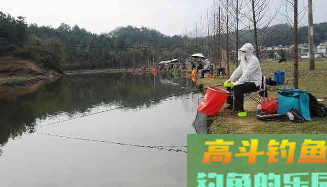 初夏，水库、池塘如何垂钓鲤鱼