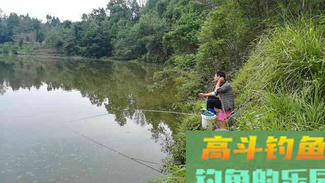 仲春野钓鲫鱼，想要渔获满满，怎么钓呢？