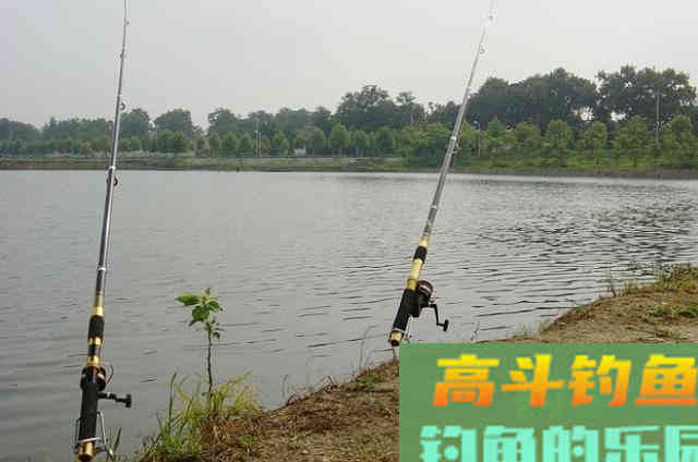 鲫鱼别一味用台钓，使用这玩法十用九准