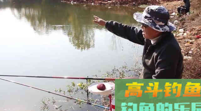 夏季如何垂钓青鱼