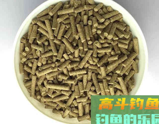 钓青鱼如何提升上鱼率,诱鱼、留鱼是关键,如何做 钓青鱼如何提升上鱼率,诱鱼、留鱼是关键,如何做