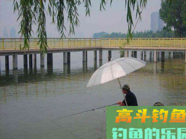 秋季钓鱼，无论别人说得再好，这些钓点都要远离