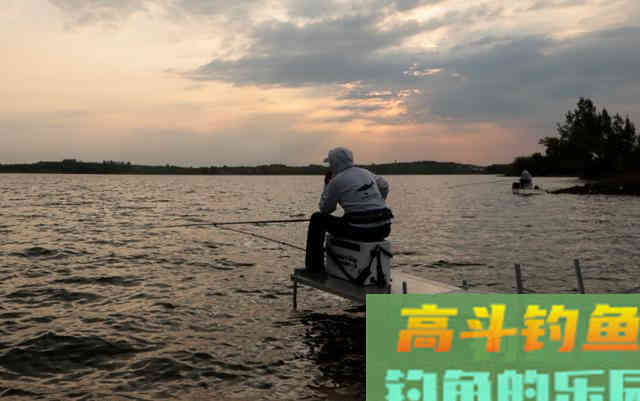 春末夏初，鲫鱼不好钓，破解这个难题需要掌握技巧