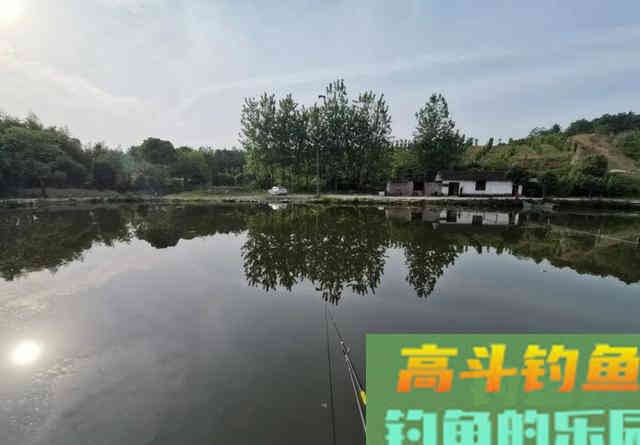 钓鲤鱼如何调漂？是一钩到底一钩悬浮好