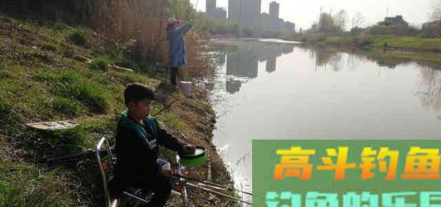 白条学会这样钓，直接拉到手软