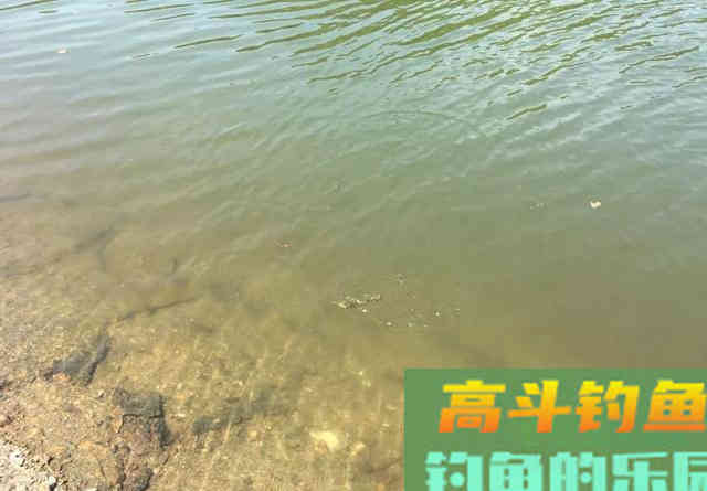 冬钓鲫,朝南坐还是朝北坐? 冬钓鲫,朝南坐还是朝北坐?