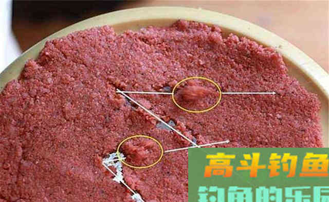 秋冬钓鲫鱼,气温低鱼口轻,别用搓饵和拉饵 秋冬钓鲫鱼,气温低鱼口轻,别用搓饵和拉饵