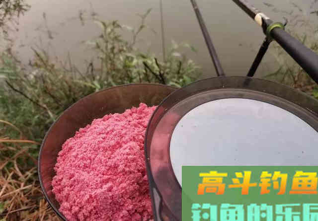 学钓鲢鳙从这篇文章开始