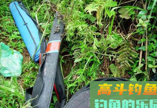 手竿如何垂钓大头鱼,4个方面重点就是饵要轻雾化好 手竿如何垂钓大头鱼,4个方面重点就是饵要轻雾化好