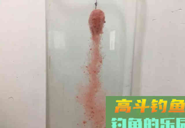 钓鲢鳙打不到正口？那是提竿不及时