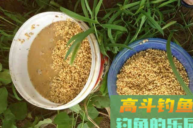 怪不得老司机不愿说,这套千金不换的鲫鱼钓法 怪不得老司机不愿说,这套千金不换的鲫鱼钓法