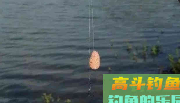春末夏初，手竿抽鲢鳙正当季，注意这四点