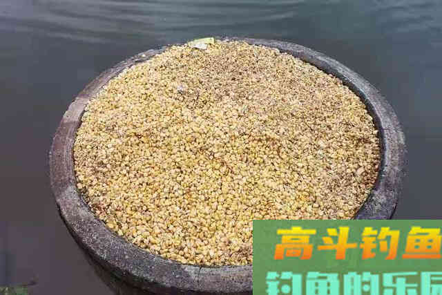这才是专攻大青鱼的正确钓法 这才是专攻大青鱼的正确钓法