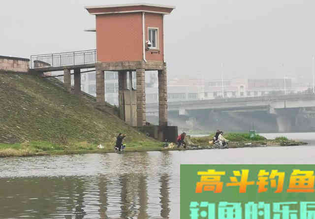 春去夏来鱼情发生变化,大鲫鱼难钓怎么办 春去夏来鱼情发生变化,大鲫鱼难钓怎么办